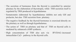 • The secretion of hormones from the thyroid is controlled by anterior
pituitary by the elaboration of thyrotropin, while TSH secretion itself is
regulated by TRH produced in hypothalamus
• Somatostatin elaborated by hypothalamus inhibits not only GH and
prolactin, but also TSH secretion from pituitary.
• The negative feedback by the thyroid hormones is exercised directly on
the pituitary as well as through hypothalamus.
• The action of TRH on pituitary and that of TSH on thyroid cells is
mediated by enhanced cAMP synthesis.
• High concentration of TSH also acts via IP3/DAG–increased
intracellular Ca2+ pathway in the thyroid cells.
 