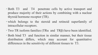 • Both T3 and T4 penetrate cells by active transport and
produce majority of their actions by combining with a nuclear
thyroid hormone receptor (TR).
• which belongs to the steroid and retinoid superfamily of
intracellular receptors.
• Two TR isoform families (TRα and TRβ) have been identified.
• Both bind T3 and function in similar manner, but their tissue
distribution differs, which may account for quantitative
differences in the sensitivity of different tissues to T3.
 