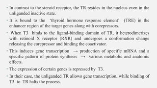 • In contrast to the steroid receptor, the TR resides in the nucleus even in the
unliganded inactive state.
• It is bound to the ‘thyroid hormone response element’ (TRE) in the
enhancer region of the target genes along with corepressors.
• When T3 binds to the ligand-binding domain of TR, it heterodimerizes
with retinoid X receptor (RXR) and undergoes a conformation change
releasing the corepressor and binding the coactivator.
• This induces gene transcription → production of specific mRNA and a
specific pattern of protein synthesis → various metabolic and anatomic
effects.
• The expression of certain genes is repressed by T3.
• In their case, the unliganded TR allows gene transcription, while binding of
T3 to TR halts the process.
 