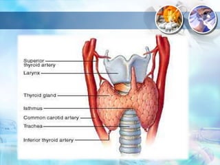 Thyroid hormones and thyroid inhibitors