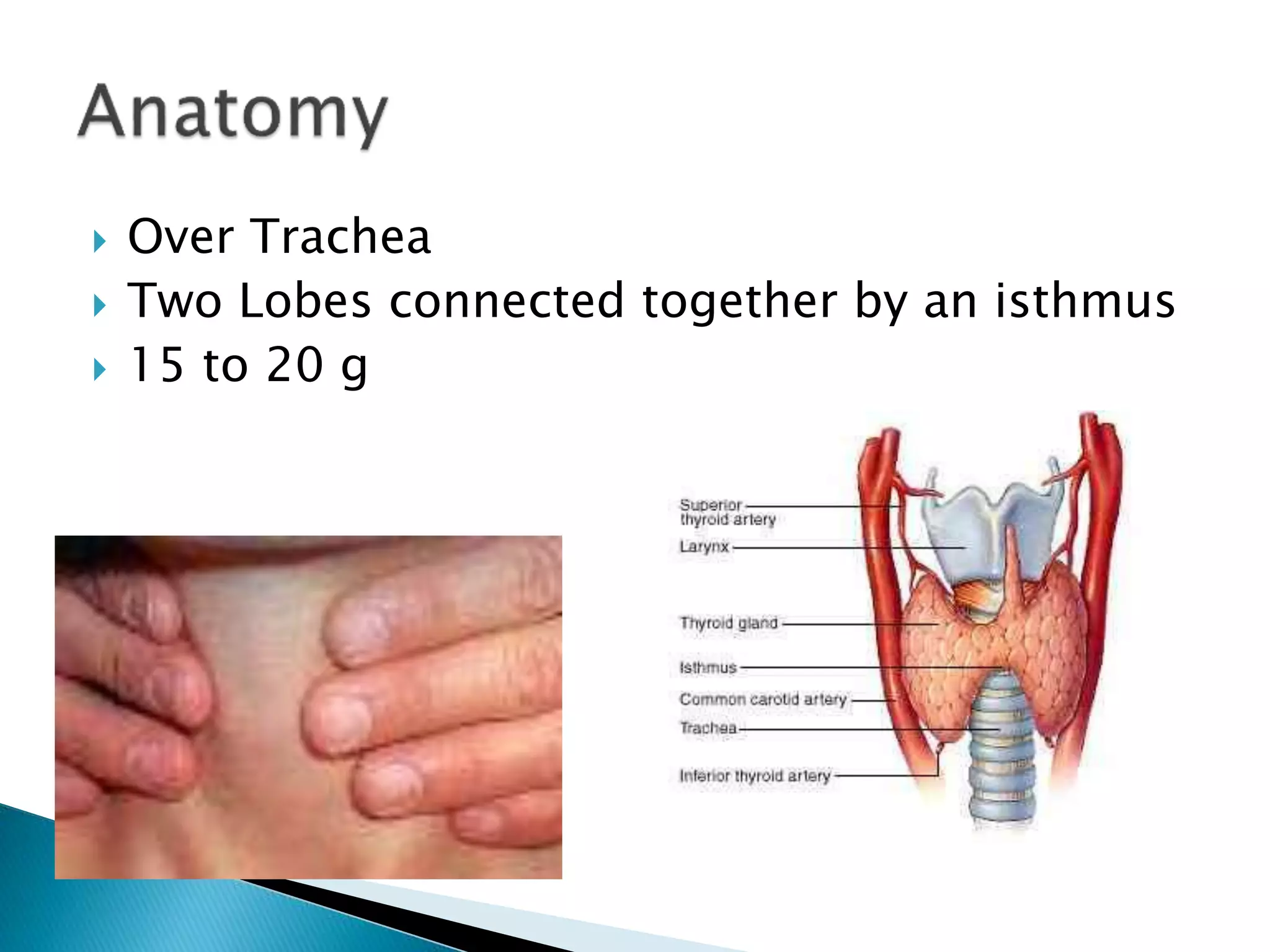 Thyroid hormones and thyroid inhibitors drdhriti | PPTX