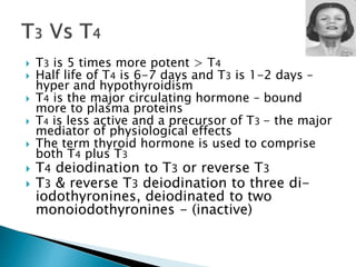  T3 is 5 times more potent > T4 
 Half life of T4 is 6-7 days and T3 is 1-2 days – 
hyper and hypothyroidism 
 T4 is the major circulating hormone – bound 
more to plasma proteins 
 T4 is less active and a precursor of T3 - the major 
mediator of physiological effects 
 The term thyroid hormone is used to comprise 
both T4 plus T3 
 T4 deiodination to T3 or reverse T3 
 T3 & reverse T3 deiodination to three di-iodothyronines, 
deiodinated to two 
monoiodothyronines - (inactive) 
 