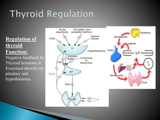 Regulation of 
thyroid 
Function: 
Negative feedback by 
Thyroid hormone is 
Exercised directly on 
pituitary and 
hypothalamus 
 