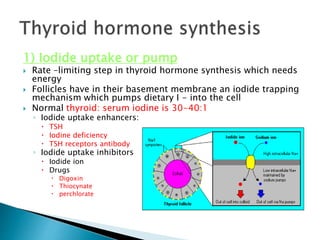 1) Iodide uptake or pump 
 Rate –limiting step in thyroid hormone synthesis which needs 
energy 
 Follicles have in their basement membrane an iodide trapping 
mechanism which pumps dietary I - into the cell 
 Normal thyroid: serum iodine is 30-40:1 
◦ Iodide uptake enhancers: 
 TSH 
 Iodine deficiency 
 TSH receptors antibody 
◦ Iodide uptake inhibitors 
 Iodide ion 
 Drugs 
 Digoxin 
 Thiocynate 
 perchlorate 
 