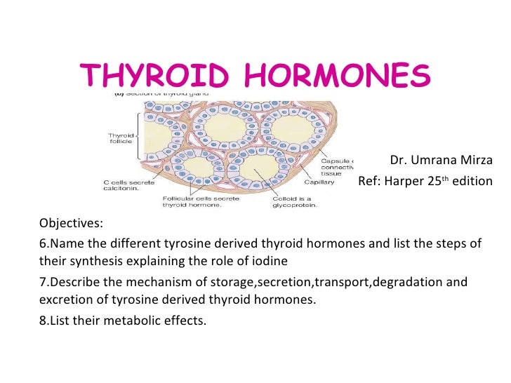 Thyroid Hormones Females