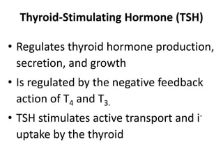Thyroid hormone synthesis