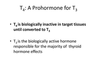 Thyroid hormone synthesis