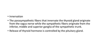 • Innervation
• The parasympathetic fibers that innervate the thyroid gland originate
from the vagus nerve while the sympathetic fibers originate from the
inferior, middle and superior ganglia of the sympathetic trunk.
• Release of thyroid hormone is controlled by the pituitary gland.
 
