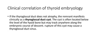 Clinical correlation of thyroid embryology
• If the thyroglossal duct does not atrophy, the remnant manifests
clinically as a thyroglossal duct cyst. The cyst is often located below
the level of the hyoid bone but may track anywhere along the
embryonic course of descent. rupture of this cyst may cause a
thyroglossal duct sinus.
 