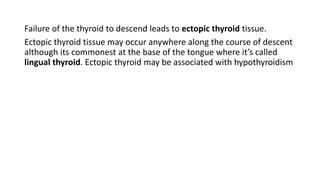 Failure of the thyroid to descend leads to ectopic thyroid tissue.
Ectopic thyroid tissue may occur anywhere along the course of descent
although its commonest at the base of the tongue where it’s called
lingual thyroid. Ectopic thyroid may be associated with hypothyroidism
 