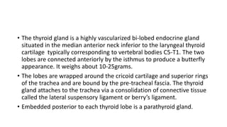 • The thyroid gland is a highly vascularized bi-lobed endocrine gland
situated in the median anterior neck inferior to the laryngeal thyroid
cartilage typically corresponding to vertebral bodies C5-T1. The two
lobes are connected anteriorly by the isthmus to produce a butterfly
appearance. It weighs about 10-25grams.
• The lobes are wrapped around the cricoid cartilage and superior rings
of the trachea and are bound by the pre-tracheal fascia. The thyroid
gland attaches to the trachea via a consolidation of connective tissue
called the lateral suspensory ligament or berry’s ligament.
• Embedded posterior to each thyroid lobe is a parathyroid gland.
 