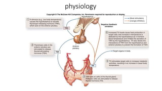 physiology
 