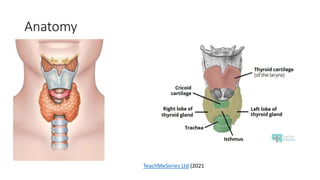 Anatomy
TeachMeSeries Ltd (2021
 