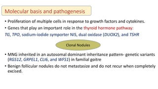Molecular basis and pathogenesis
• Proliferation of multiple cells in response to growth factors and cytokines.
• Genes that play an important role in the thyroid hormone pathway:
TG, TPO, sodium-iodide symporter NIS, dual oxidase (DUOX2), and TSHR
• MNG inherited in an autosomal dominant inheritance pattern- genetic variants
(RGS12, GRPEL1, CLI6, and WFS1) in familial goitre
• Benign follicular nodules do not metastasize and do not recur when completely
excised.
Clonal Nodules
 