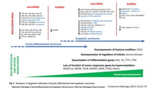 Endocrine Pathology (2021) 32:63–76
Molecular Pathology of Poorly Differentiated and Anaplastic Thyroid Cancer: What Do Pathologists Need to Know?
 