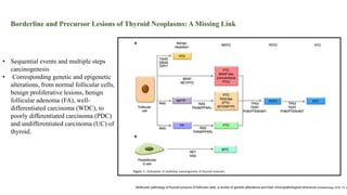 Borderline and Precursor Lesions of Thyroid Neoplasms: A Missing Link
• Sequential events and multiple steps
carcinogenesis
• Corresponding genetic and epigenetic
alterations, from normal follicular cells,
benign proliferative lesions, benign
follicular adenoma (FA), well-
differentiated carcinoma (WDC), to
poorly differentiated carcinoma (PDC)
and undifferentiated carcinoma (UC) of
thyroid.
Molecular pathology of thyroid tumours of follicular cells: a review of genetic alterations and their clinicopathological relevance Histopathology 2018, 72, 6
 