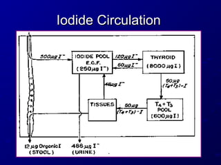 Iodide Circulation
Iodide Circulation
 