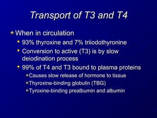 Transport of T3 and T4
Transport of T3 and T4
When in circulation
When in circulation

93% thyroxine and 7% triiodothyronine
93% thyroxine and 7% triiodothyronine

Conversion to active (T3) is by slow
Conversion to active (T3) is by slow
deiodination process
deiodination process

99% of T4 and T3 bound to plasma proteins
99% of T4 and T3 bound to plasma proteins
Causes slow release of hormone to tissue
Causes slow release of hormone to tissue
Thyroxine-binding globulin (TBG)
Thyroxine-binding globulin (TBG)
Tyroxine-binding prealbumin and albumin
Tyroxine-binding prealbumin and albumin
 