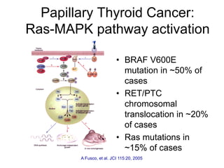 Papillary Thyroid Cancer:
Ras-MAPK pathway activation
• BRAF V600E
mutation in ~50% of
cases
• RET/PTC
chromosomal
translocation in ~20%
of cases
• Ras mutations in
~15% of cases
A Fusco, et al. JCI 115:20, 2005
 