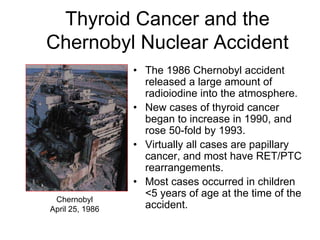 Thyroid Cancer and the
Chernobyl Nuclear Accident
• The 1986 Chernobyl accident
released a large amount of
radioiodine into the atmosphere.
• New cases of thyroid cancer
began to increase in 1990, and
rose 50-fold by 1993.
• Virtually all cases are papillary
cancer, and most have RET/PTC
rearrangements.
• Most cases occurred in children
<5 years of age at the time of the
accident.
Chernobyl
April 25, 1986
 
