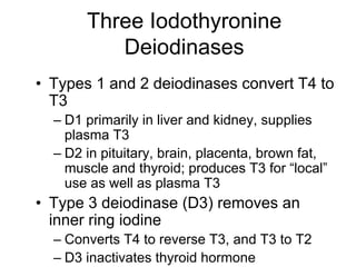 Three Iodothyronine
Deiodinases
• Types 1 and 2 deiodinases convert T4 to
T3
– D1 primarily in liver and kidney, supplies
plasma T3
– D2 in pituitary, brain, placenta, brown fat,
muscle and thyroid; produces T3 for “local”
use as well as plasma T3
• Type 3 deiodinase (D3) removes an
inner ring iodine
– Converts T4 to reverse T3, and T3 to T2
– D3 inactivates thyroid hormone
 