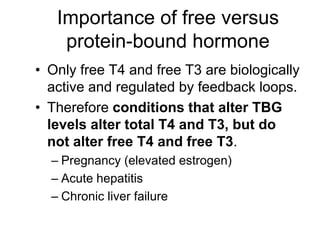 Importance of free versus
protein-bound hormone
• Only free T4 and free T3 are biologically
active and regulated by feedback loops.
• Therefore conditions that alter TBG
levels alter total T4 and T3, but do
not alter free T4 and free T3.
– Pregnancy (elevated estrogen)
– Acute hepatitis
– Chronic liver failure
 