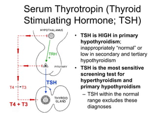 Serum Thyrotropin (Thyroid
Stimulating Hormone; TSH)
• TSH is HIGH in primary
hypothyroidism;
inappropriately “normal” or
low in secondary and tertiary
hypothyroidism
• TSH is the most sensitive
screening test for
hyperthyroidism and
primary hypothyroidism
– TSH within the normal
range excludes these
diagnoses
TRH
+
TSH
+
T4 T3
T4 + T3
 
