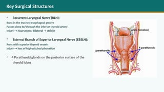 Bilateral Rln Comprehensive Overview of Thyroid Gland, Goiter, and Surgical ...
