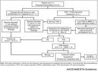 AACE/AME/ETA Guidelines
 