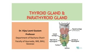 THYROID GLAND &
PARATHYROID GLAND
Dr. Vijay Laxmi Gautam
Professor
Department of Rachana Sharir
Faculty of Ayurveda, IMS, BHU,
Varanasi
 