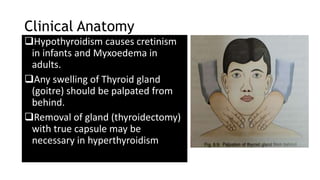 Clinical Anatomy
Hypothyroidism causes cretinism
in infants and Myxoedema in
adults.
Any swelling of Thyroid gland
(goitre) should be palpated from
behind.
Removal of gland (thyroidectomy)
with true capsule may be
necessary in hyperthyroidism
 