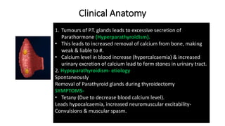 Clinical Anatomy
1. Tumours of P.T. glands leads to excessive secretion of
Parathormone (Hyperparathyroidism).
• This leads to increased removal of calcium from bone, making
weak & liable to #.
• Calcium level in blood increase (hypercalcaemia) & increased
urinary excretion of calcium lead to form stones in urinary tract.
2. Hypoparathyroidism- etiology
Spontaneously
Removal of Parathyroid glands during thyroidectomy
SYMPTOMS-
• Tetany (Due to decrease blood calcium level).
Leads hypocalcaemia, increased neuromuscular excitability-
Convulsions & muscular spasm.
 