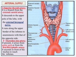  :
1-Superior thyroid artery:
It is a branch from the
external carotid artery.
It descends to the upper
pole of the lobe, with
the external laryngeal
nerve.
It runs along the upper
border of the isthmus to
anastomosis with that of
the opposite side.
2- Thyroidea ima artery:
If present, it arises from
aortic arch or from the
brachiocephalic artery.
It ascends in front of the
trachea to reach
the isthmus.
ARTERIAL SUPPLY
DR NDAYISABA CORNEILLE
 