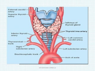 DR NDAYISABA CORNEILLE
 