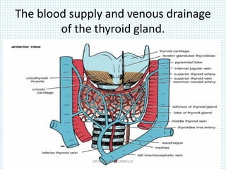 The blood supply and venous drainage
of the thyroid gland.
DR NDAYISABA CORNEILLE
 