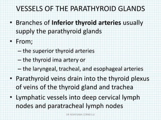 VESSELS OF THE PARATHYROID GLANDS
• Branches of Inferior thyroid arteries usually
supply the parathyroid glands
• From;
– the superior thyroid arteries
– the thyroid ima artery or
– the laryngeal, tracheal, and esophageal arteries
• Parathyroid veins drain into the thyroid plexus
of veins of the thyroid gland and trachea
• Lymphatic vessels into deep cervical lymph
nodes and paratracheal lymph nodes
DR NDAYISABA CORNEILLE
 