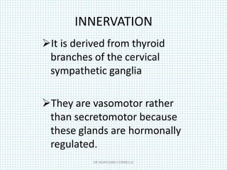 INNERVATION
It is derived from thyroid
branches of the cervical
sympathetic ganglia
They are vasomotor rather
than secretomotor because
these glands are hormonally
regulated.
DR NDAYISABA CORNEILLE
 