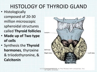 HISTOLOGY OF THYROID GLAND
• Histologically
composed of 20-30
million microscopic
spheroidal structures
called Thyroid follicles
• Made up of Two type
of cells
• Synthesis the Thyroid
hormones, thyroxine
& triiodothyronine, &
Calcitonin
DR NDAYISABA CORNEILLE
 