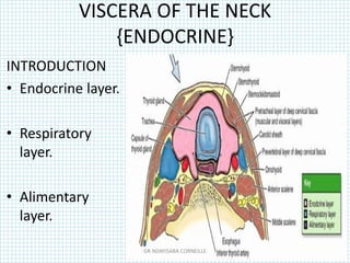 VISCERA OF THE NECK
{ENDOCRINE}
INTRODUCTION
• Endocrine layer.
• Respiratory
layer.
• Alimentary
layer.
DR NDAYISABA CORNEILLE
 