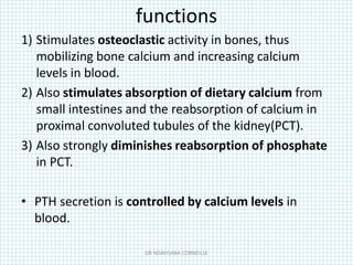 functions
1) Stimulates osteoclastic activity in bones, thus
mobilizing bone calcium and increasing calcium
levels in blood.
2) Also stimulates absorption of dietary calcium from
small intestines and the reabsorption of calcium in
proximal convoluted tubules of the kidney(PCT).
3) Also strongly diminishes reabsorption of phosphate
in PCT.
• PTH secretion is controlled by calcium levels in
blood.
DR NDAYISABA CORNEILLE
 