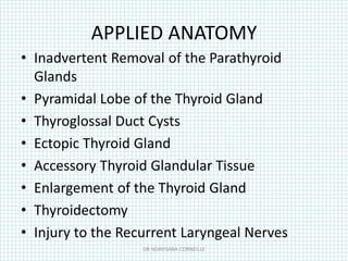 APPLIED ANATOMY
• Inadvertent Removal of the Parathyroid
Glands
• Pyramidal Lobe of the Thyroid Gland
• Thyroglossal Duct Cysts
• Ectopic Thyroid Gland
• Accessory Thyroid Glandular Tissue
• Enlargement of the Thyroid Gland
• Thyroidectomy
• Injury to the Recurrent Laryngeal Nerves
DR NDAYISABA CORNEILLE
 