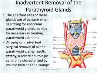 Inadvertent Removal of the
Parathyroid Glands
• The aberrant sites of these
glands are of concern when
searching for abnormal
parathyroid glands, as may
be necessary in treating
parathyroid adenoma
• Atrophy or inadvertent
surgical removal of all the
parathyroid glands results in
tetany, a severe neurologic
syndrome characterized by
muscle twitches and cramps.
DR NDAYISABA CORNEILLE
 