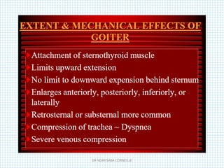 DR NDAYISABA CORNEILLE
 