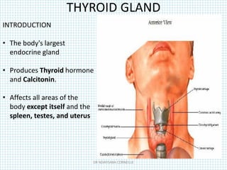 THYROID GLAND
INTRODUCTION
• The body's largest
endocrine gland
• Produces Thyroid hormone
and Calcitonin.
• Affects all areas of the
body except itself and the
spleen, testes, and uterus
DR NDAYISABA CORNEILLE
 