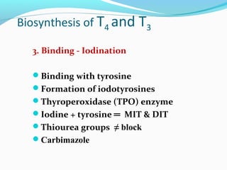 Biosynthesis of T4 and T3
3. Binding - Iodination
Binding with tyrosine
Formation of iodotyrosines
Thyroperoxidase (TPO) enzyme
Iodine + tyrosine ═ MIT & DIT
Thiourea groups ≠ block
Carbimazole
 