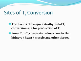 Sites of T4 Conversion
The liver is the major extrathyroidal T4
conversion site for production of T3
Some T4to T3 conversion also occurs in the
kidneys / heart / muscle and other tissues
 
