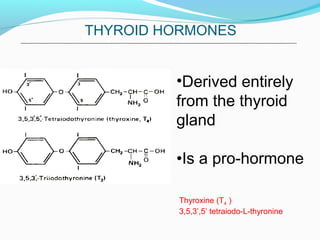 Thyroxine (T4 )
3,5,3’,5’ tetraiodo-L-thyronine
THYROID HORMONES
•Derived entirely
from the thyroid
gland
•Is a pro-hormone
 