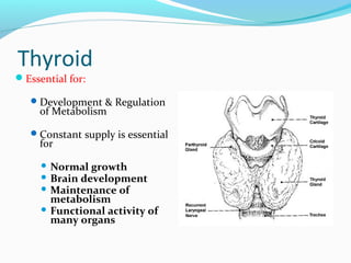 Thyroid
Essential for:
Development & Regulation
of Metabolism
Constant supply is essential
for
 Normal growth
 Brain development
 Maintenance of
metabolism
 Functional activity of
many organs
 