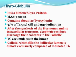 Thyro-Globulin
It is a dimeric Glyco-Protein
M.wt: 660000
Contains about 120 Tyrosyl units
30% of Tyrosyl will undergo iodination
After the synthesis of the Hormones and its
intracellular transport, exophytic residues
discharge their contents in the Folliclle
TG accumulates in the lumen
Colloid, which fills the Follicular lumen is
almost exclusively composed of Iodinated TG
 