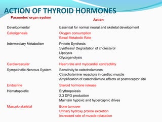 ACTION OF THYROID HORMONES
Parameter/ organ system
Action
Developmental Essential for normal neural and skeletal development
Calorigenesis Oxygen consumption
Basal Metabolic Rate
Intermediary Metabolism Protein Synthesis
Synthesis/ Degradation of cholesterol
Lipolysis
Glycogenolysis
Cardiovascular Heart rate and myocardial contractility
Sympathetic Nervous System Sensitivity to catecholamines
Catecholamine receptors in cardiac muscle
Amplification of catecholamine effects at postreceptor site
Endocrine Steroid hormone release
Hematopoietic Erythropoiesis
2,3 DPG production
Maintain hypoxic and hypercapnic drives
Musculo skeletal Bone turnover
Urinary hydroxy proline excretion
Increased rate of muscle relaxation
 